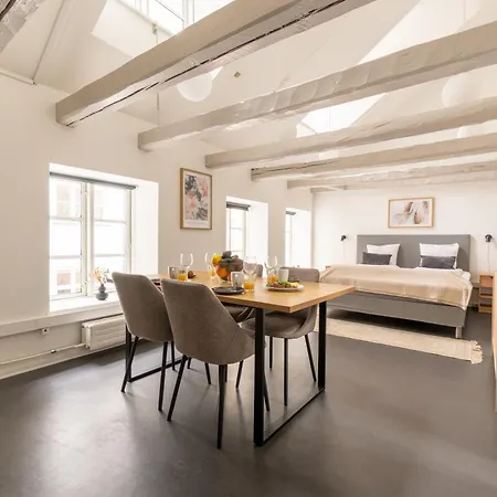 Charming Scandinavian Loft For Two Apartament