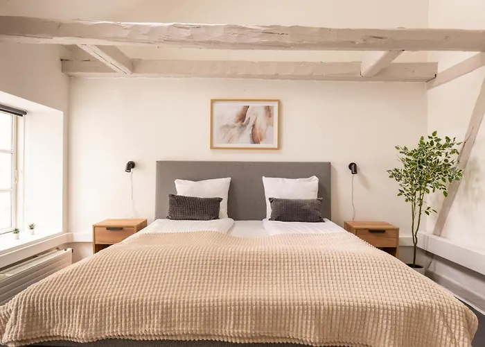 Apartment Charming Scandinavian Loft For Two Copenhagen