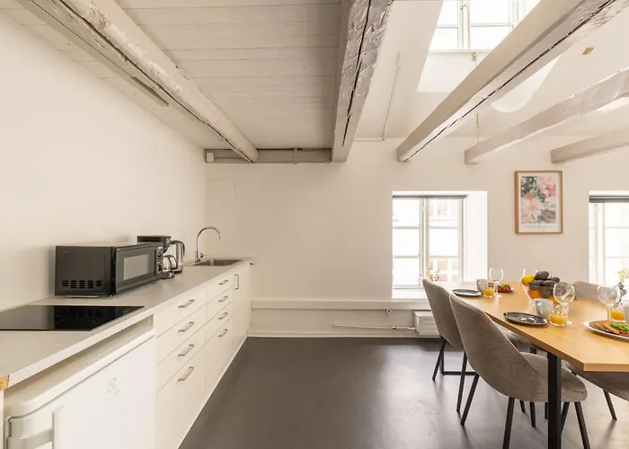 Charming Scandinavian Loft For Two Apartment Copenhagen
