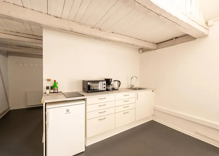 Charming Scandinavian Loft For Two Apartment *